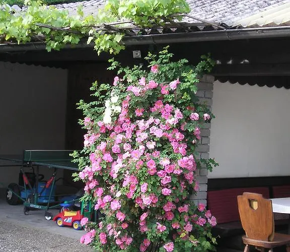 Πανσιόν Kasbergblick 2*