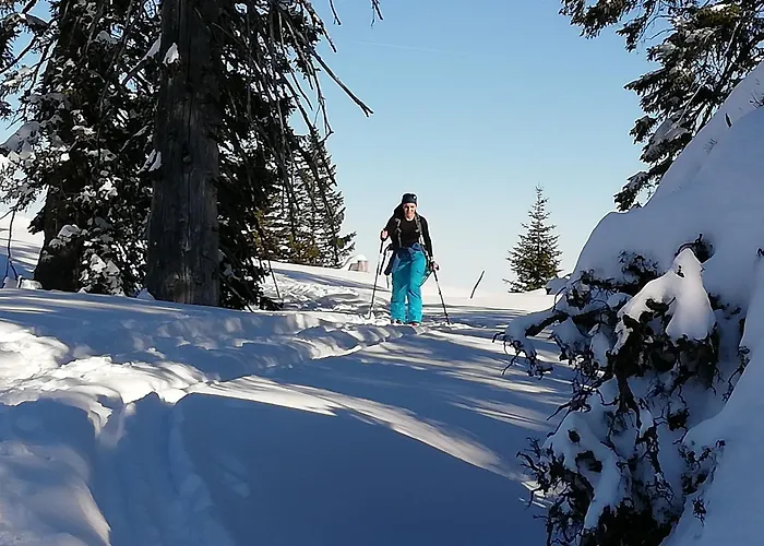 招待所 Kasbergblick 2*